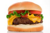 Dairy Burger Dish 